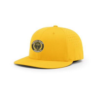    - PTS LITE R-FLEX GOLD Thumbnail